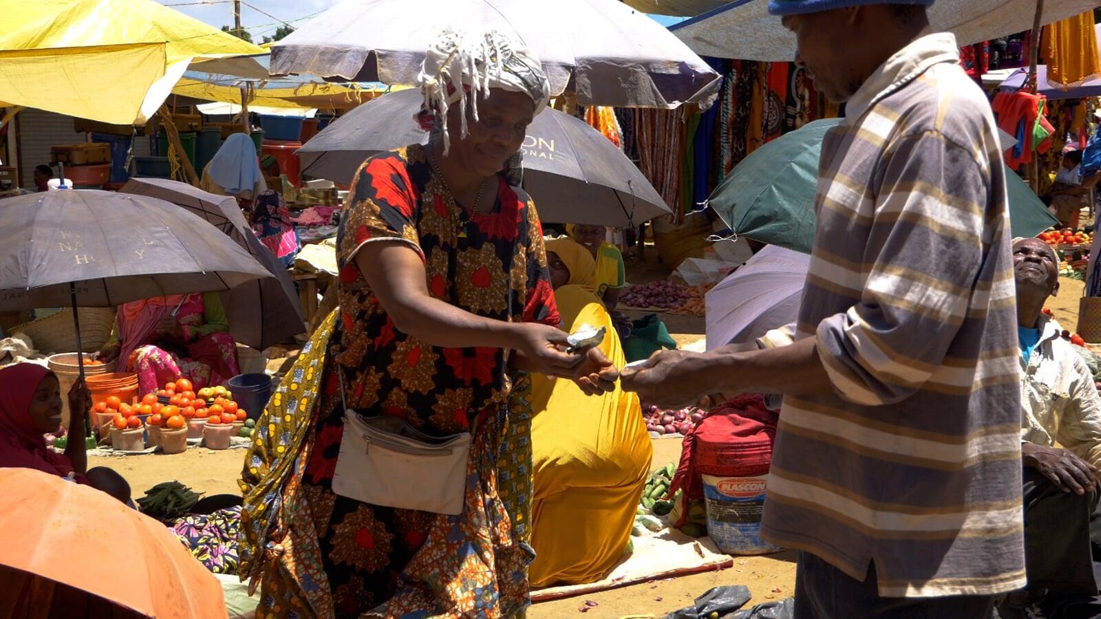 Greening Guatemala: The Profound Benefits of Planting Trees and How You Can Help
